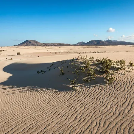 Dom wakacyjny Home2Book Casa Maria Rustic Escape In Villaverde